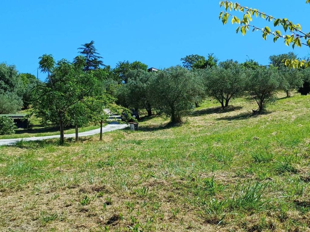 Terreno a Selci in Via del Colle - Foto 5