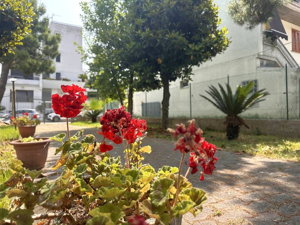 Palazzo / stabile a San benedetto del tronto in Via Nazario Sauro, 78 - Foto 2