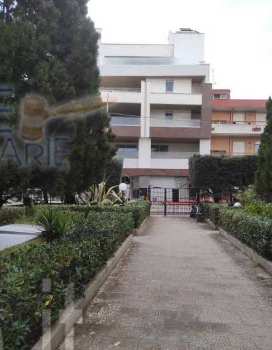 Appartamento a Acquaviva delle fonti in Via Mario Coccioli, 3 - Foto 4