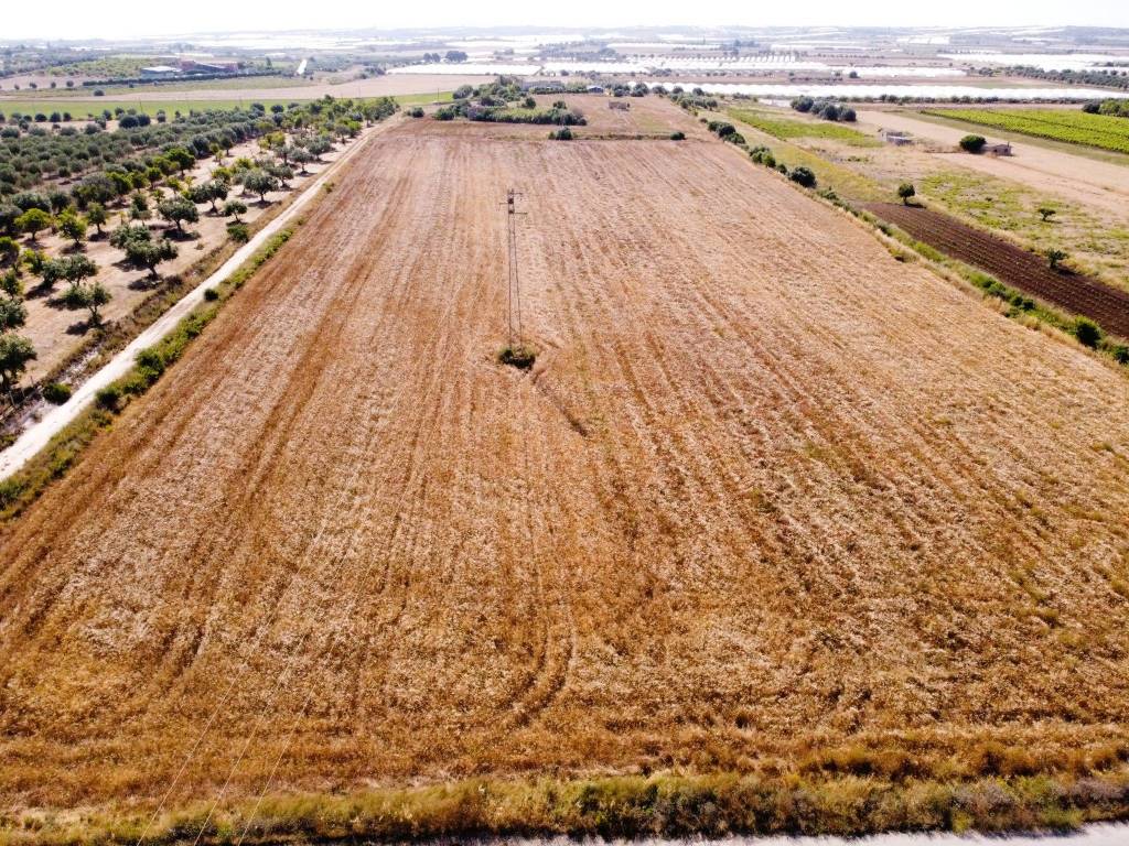 Rustico / casale a Noto in Strada Provinciale Pachino Ispica - Foto 2