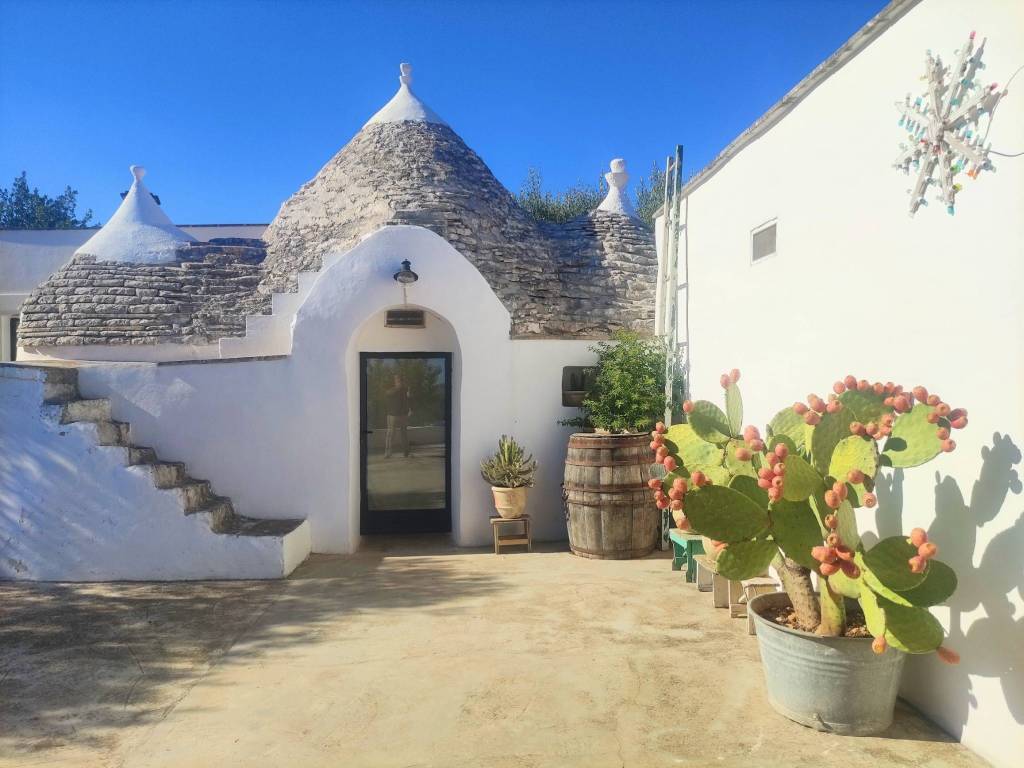 Rustico / casale a Ostuni in Contrada Lamatroccola - Foto 3