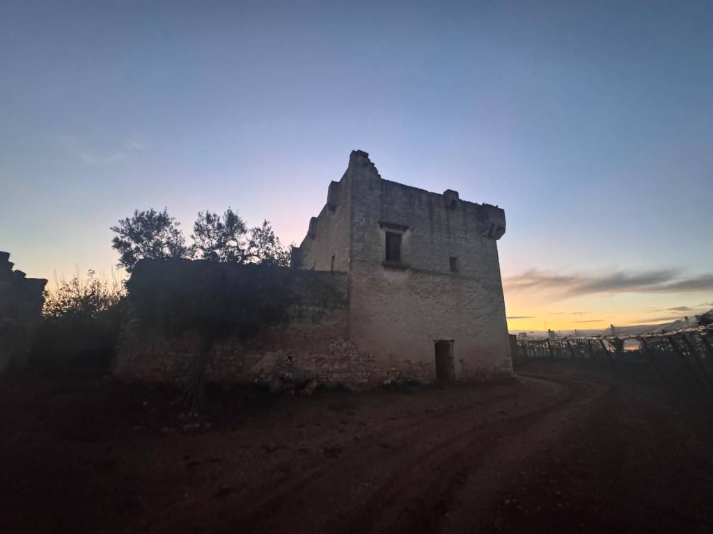 Rustico / casale a Mola di bari - Foto 3