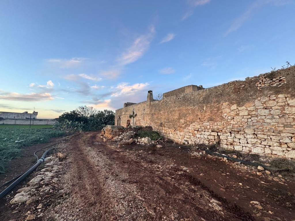 Rustico / casale a Mola di bari - Foto 4