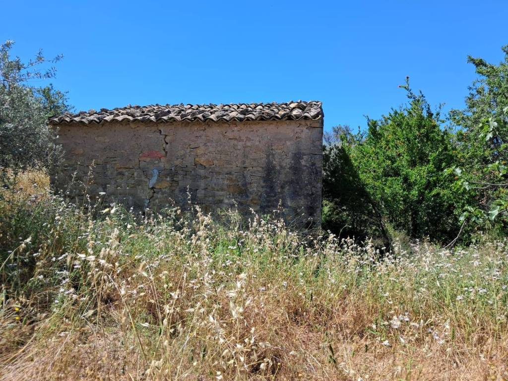 Terreno a Chiaramonte gulfi in contrada tramostera - Foto 3