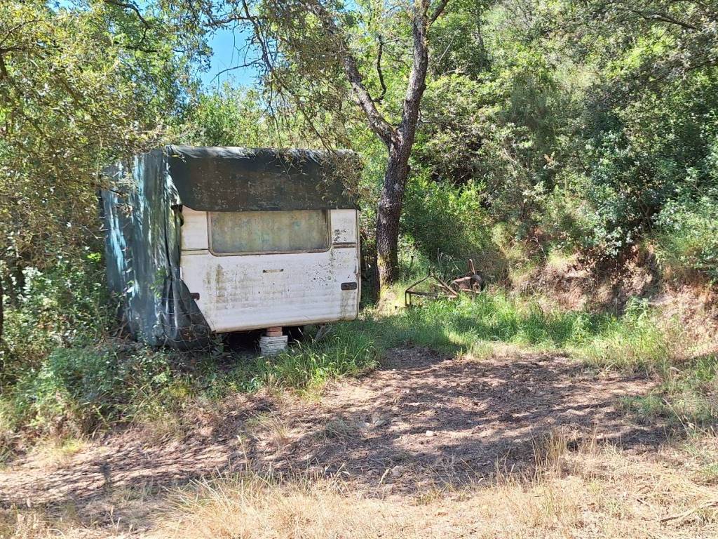 Terreno a Castiglione della pescaia in Strada Vicinale della Valle - Foto 3