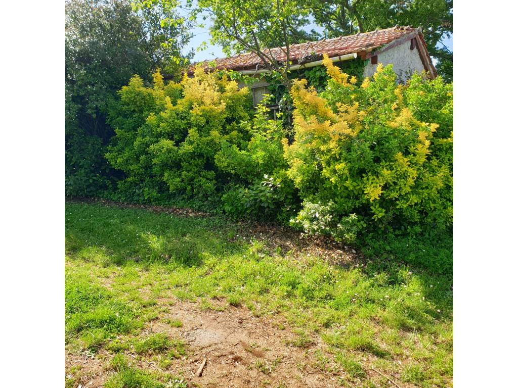 Terreno a Bracciano in Via di Castelgiuliano, 1 - Foto 2