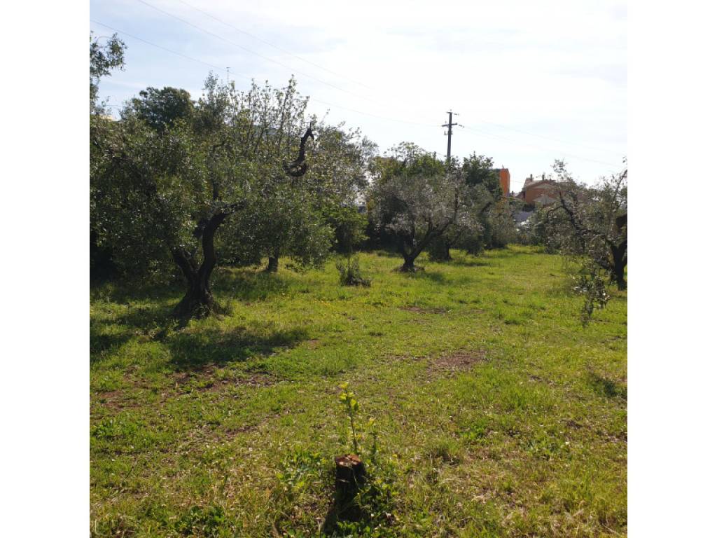 Terreno a Bracciano in Via di Castelgiuliano, 1 - Foto 3