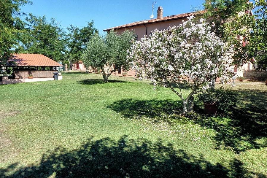 Rustico / casale a Rosignano marittimo in Località Stradone dei Fichi - Foto 2