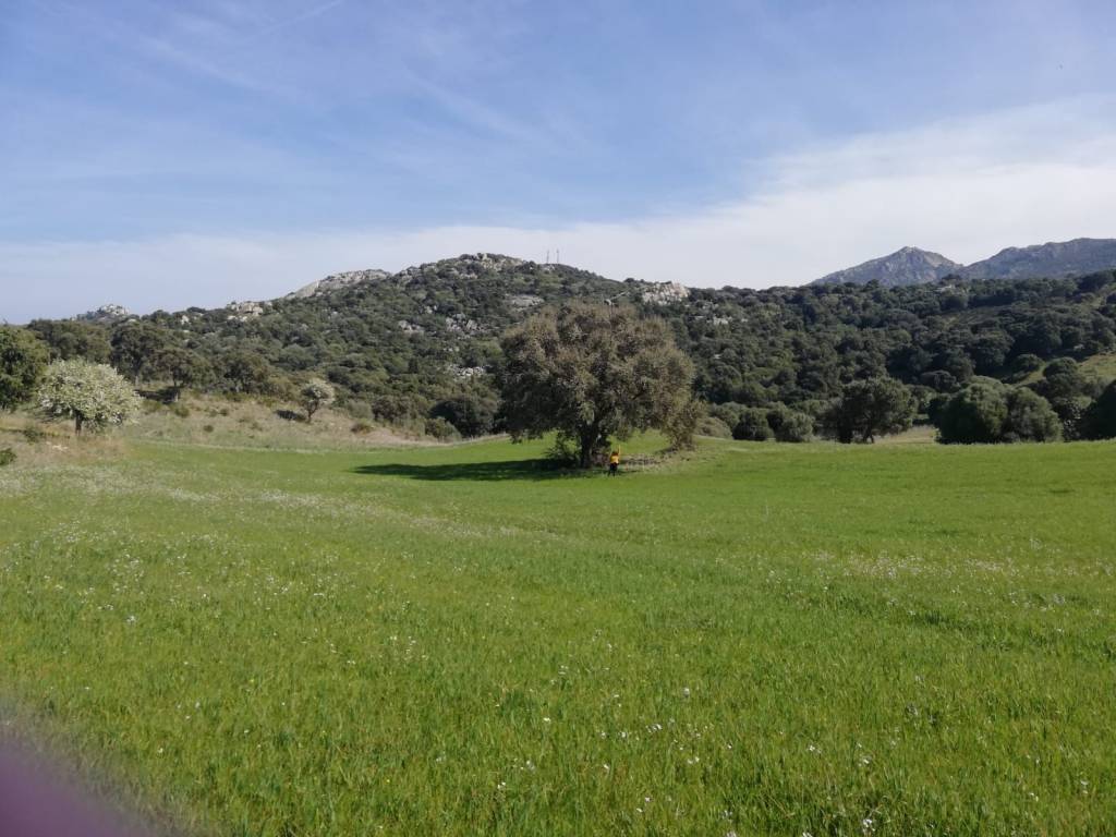 Terreno a Loiri porto san paolo in Loc Graminatoggiu - Foto 2