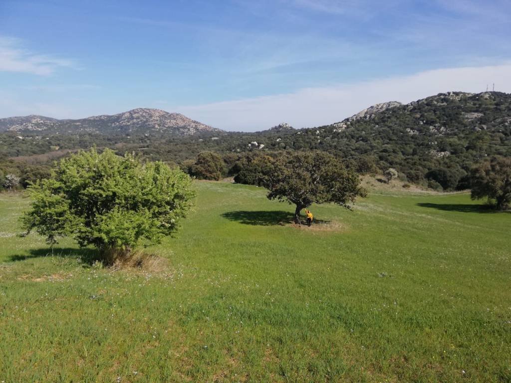 Terreno a Loiri porto san paolo in Loc Graminatoggiu - Foto 3