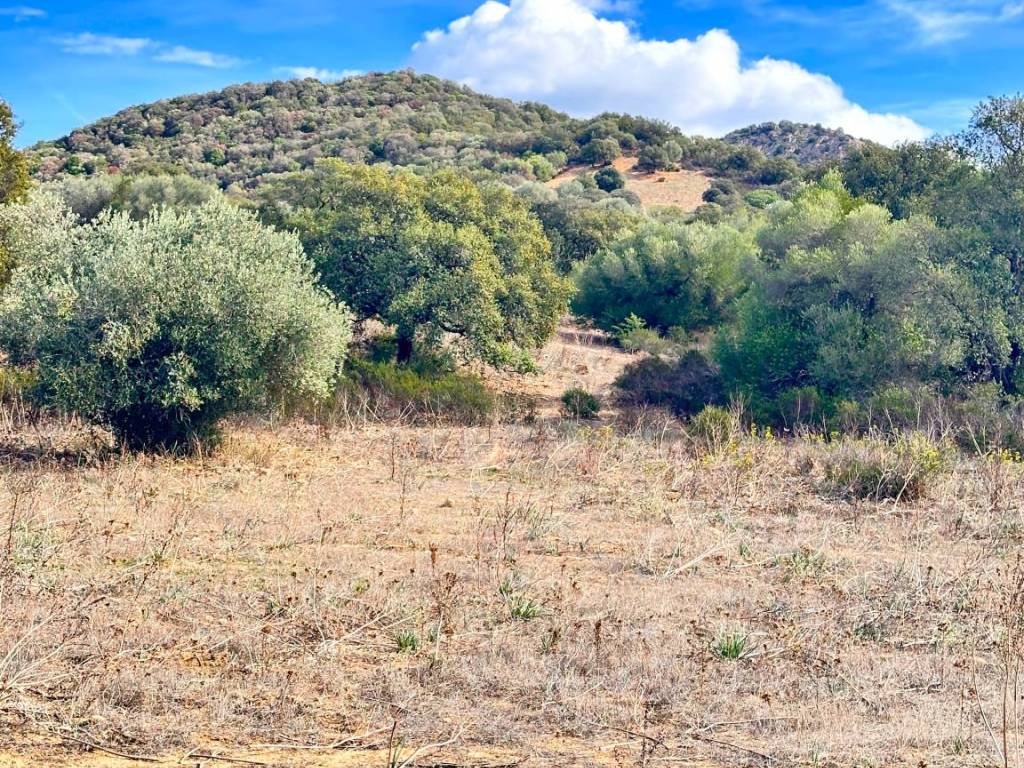 Terreno a Loiri porto san paolo - Foto 3