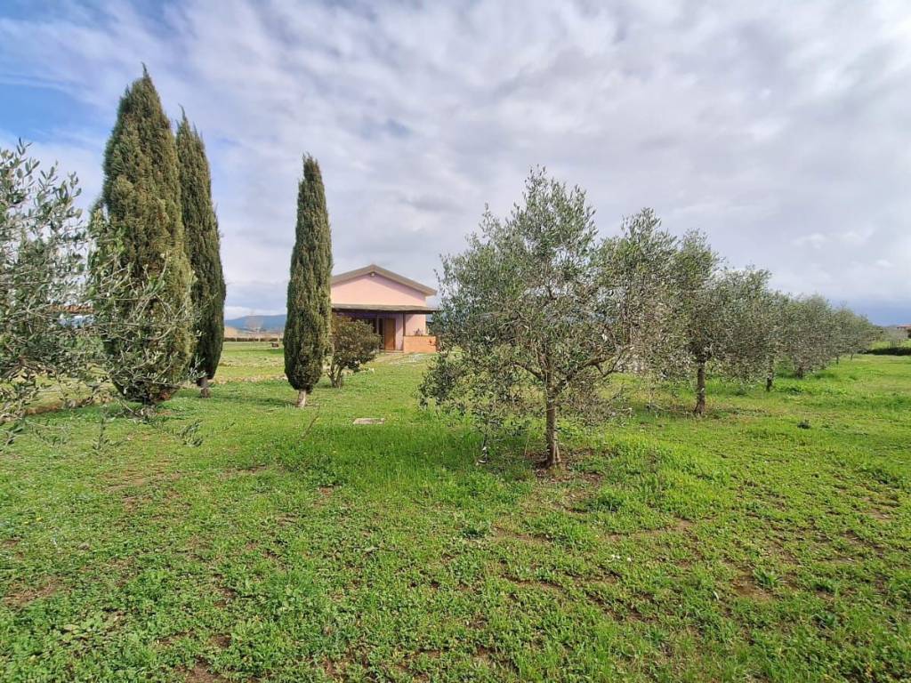Rustico / casale a Bibbona in Via Bolgherese - Foto 3