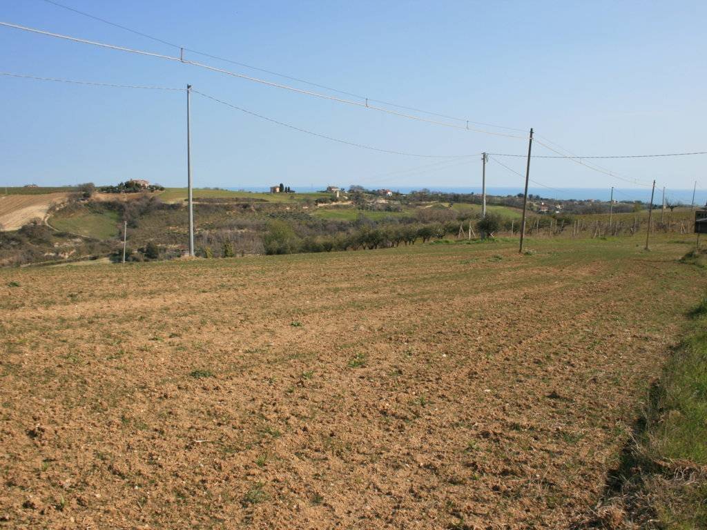 Terreno a Massignano in strada provinciale 58 - Foto 2