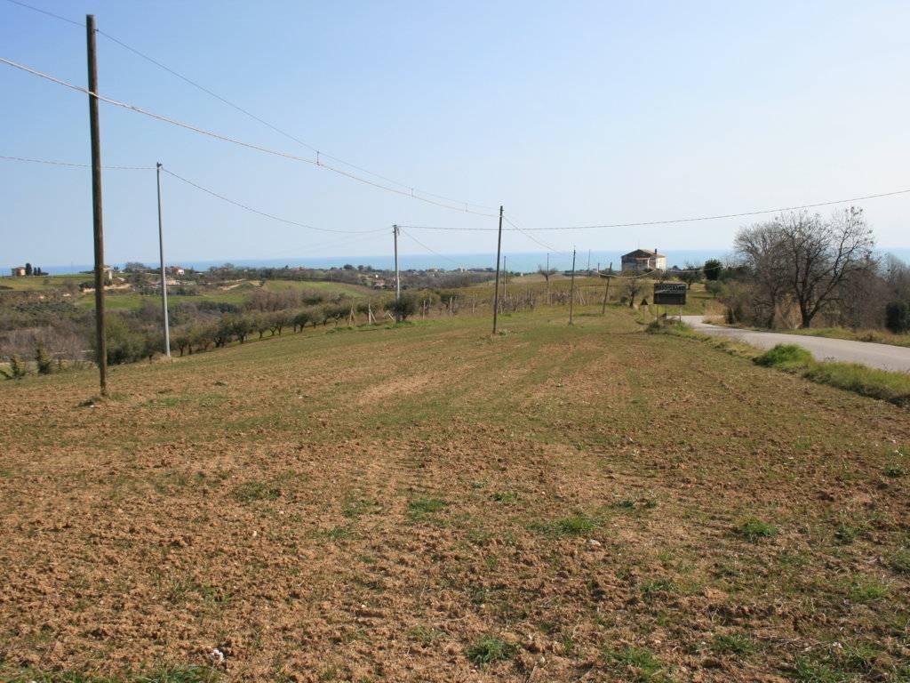 Terreno a Massignano in strada provinciale 58 - Foto 3
