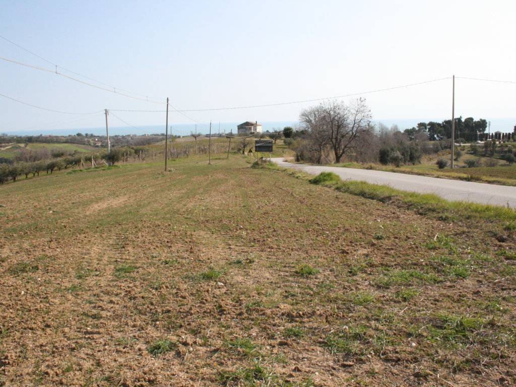 Terreno a Massignano in strada provinciale 58 - Foto 4