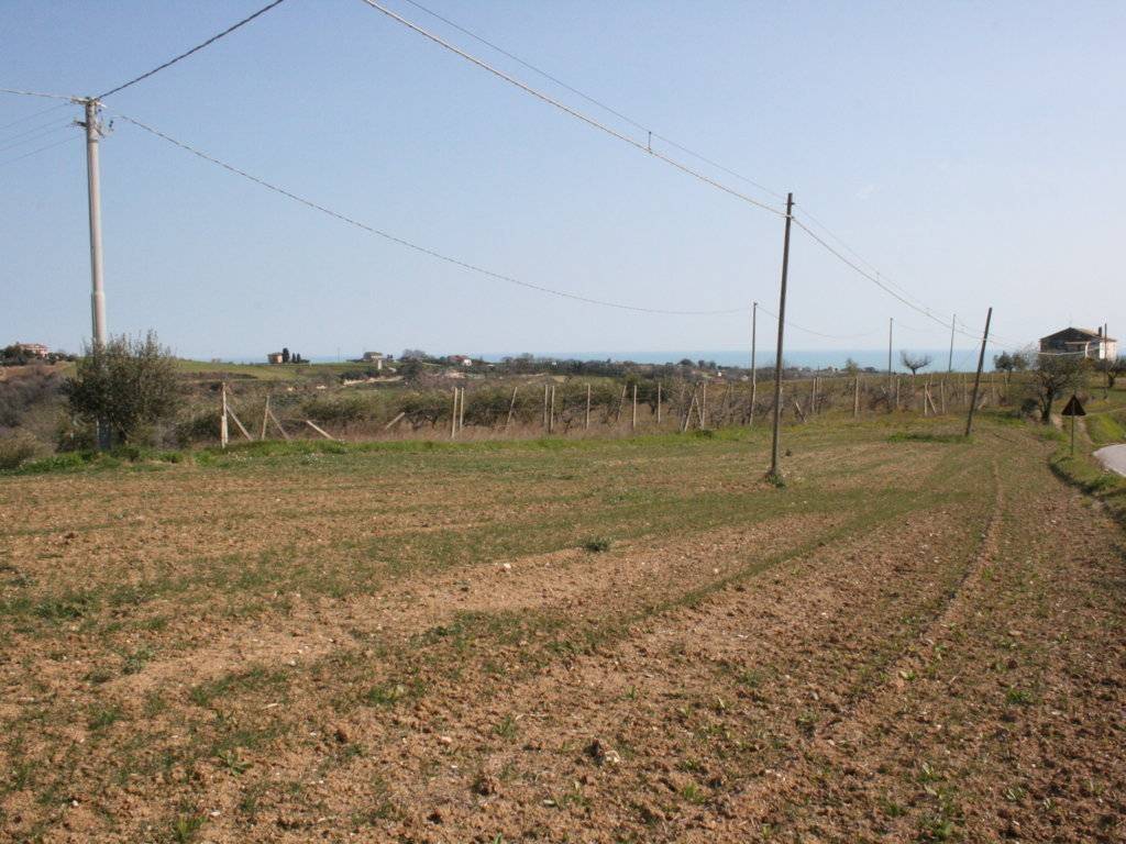 Terreno a Massignano in strada provinciale 58 - Foto 5