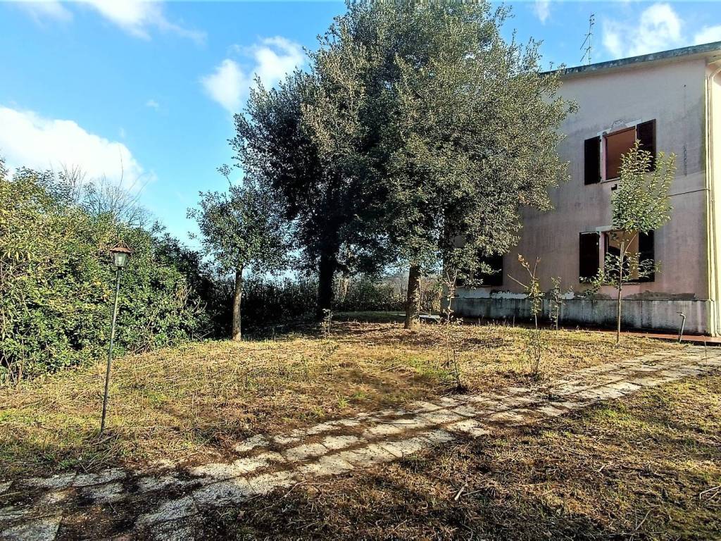 Casa indipendente a Montefiore dell'aso in strada provinciale 91, 40 - Foto 3