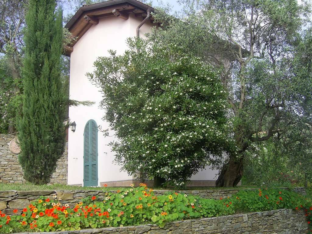 Villa a Pietrasanta - Foto 5