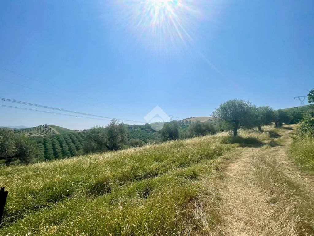 Terreno a Penne in CONTRADA TETO - Foto 2