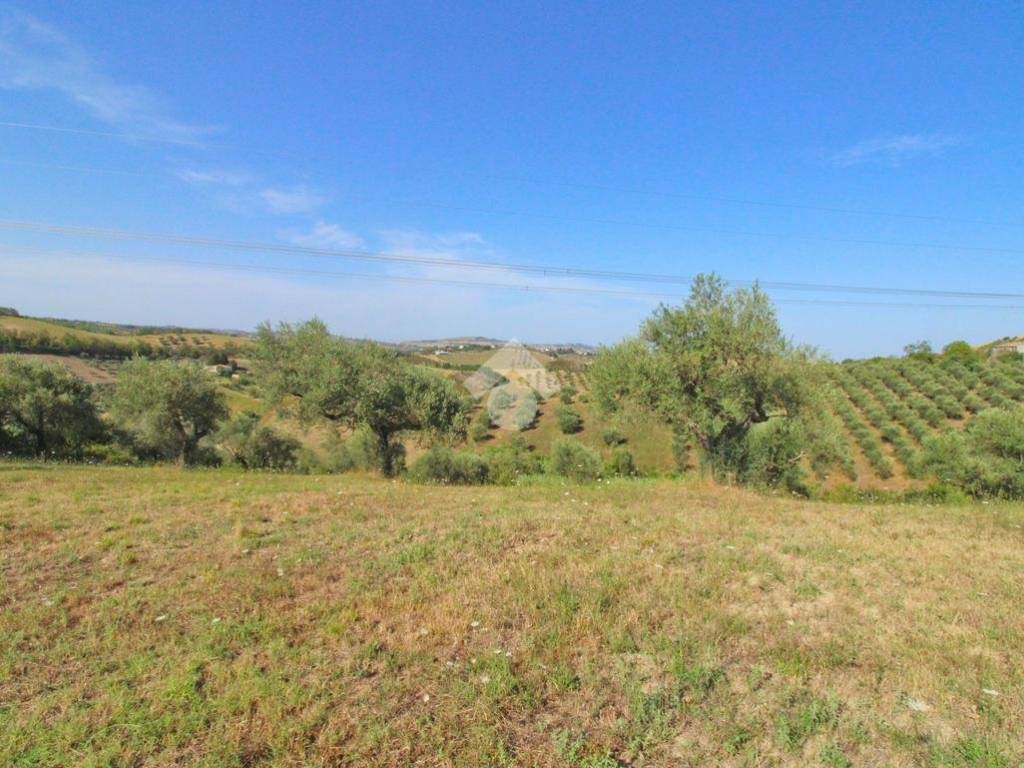 Terreno a Penne in CONTRADA TETO - Foto 3