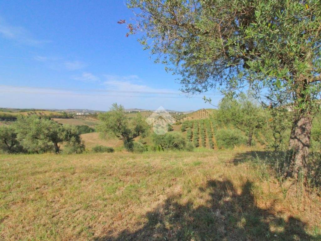 Terreno a Penne in CONTRADA TETO - Foto 4