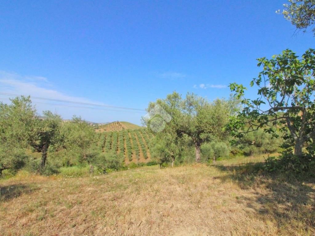 Terreno a Penne in CONTRADA TETO - Foto 5