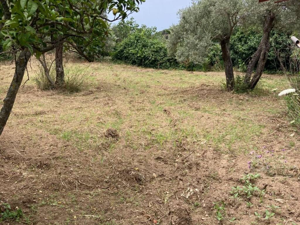 Rustico / casale a Reggio calabria in Strada Terreti Nasiti - Foto 3