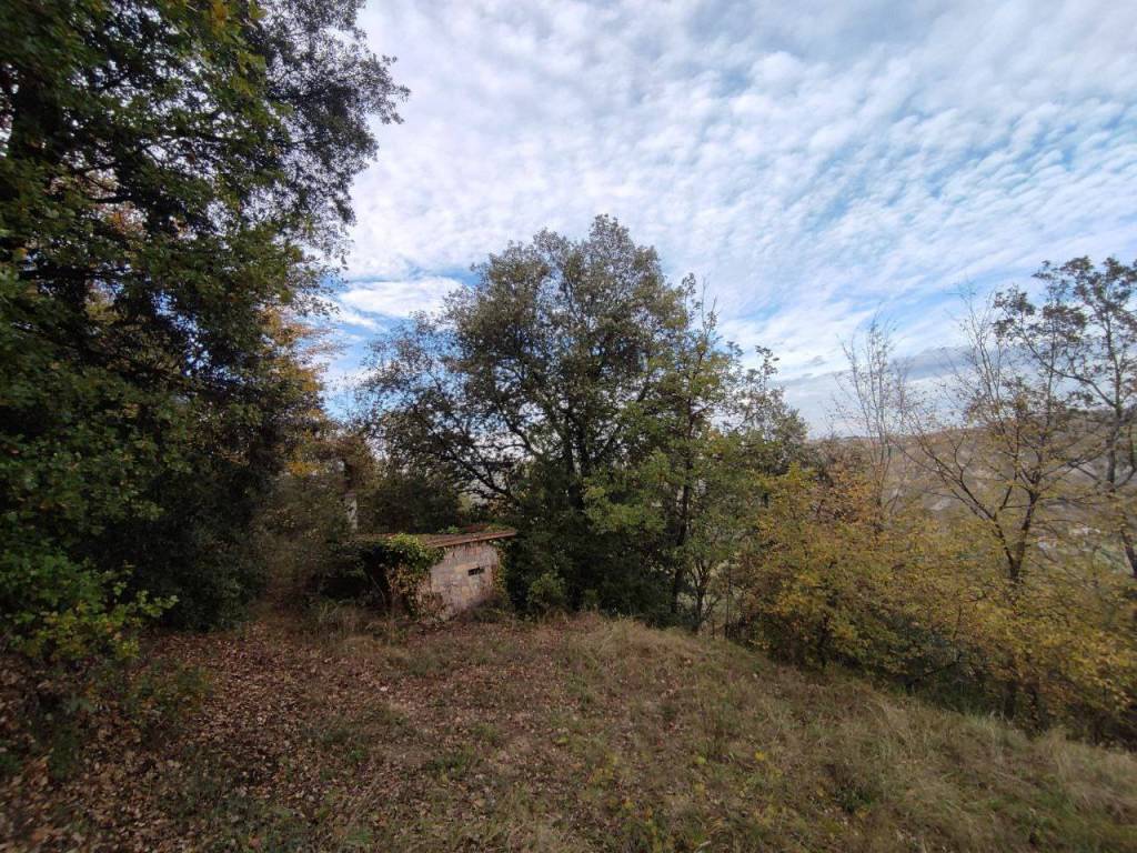 Terreno a Ascoli piceno in Zona industriale campolungo - Foto 2