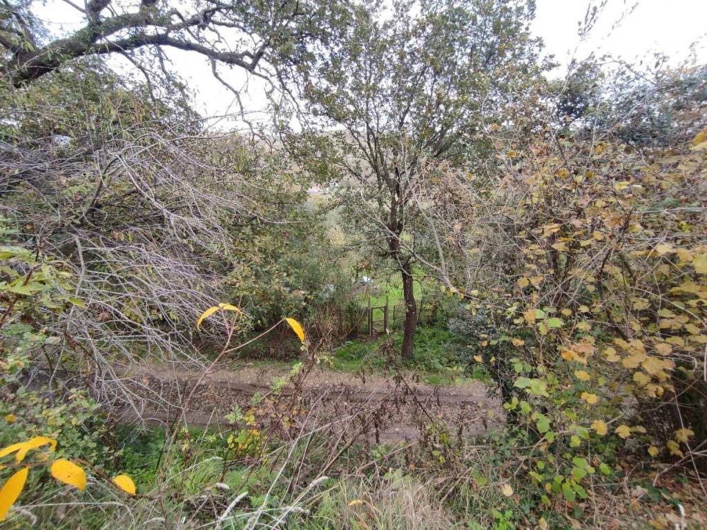 Terreno a Ascoli piceno in Zona industriale campolungo - Foto 4