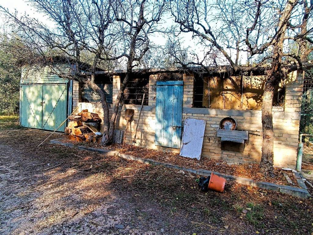 Rustico / casale a Massignano in contrada piane santi, 15 - Foto 5