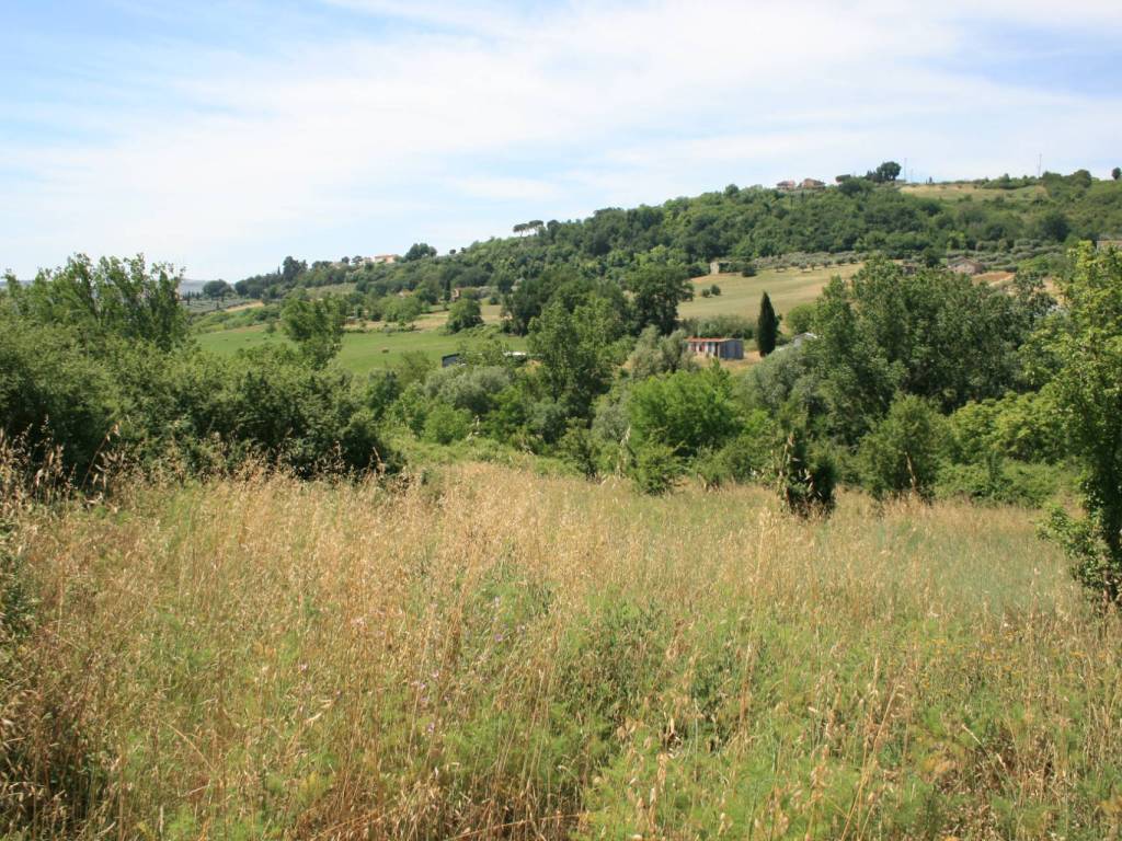 Terreno a Monsampolo del tronto in contrada fontanelle - Foto 3