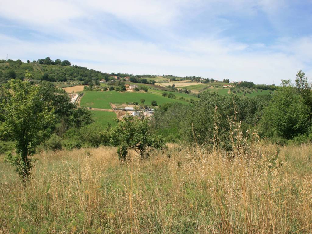 Terreno a Monsampolo del tronto in contrada fontanelle - Foto 4
