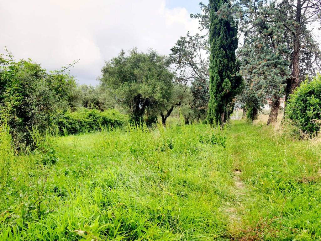 Rustico / casale a Sarzana in Via Alta Nuova, 40 - Foto 3