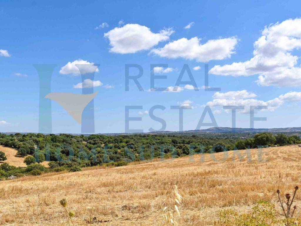 Rustico / casale a Noto in Via Tommaso Fazello, 228 - Foto 3