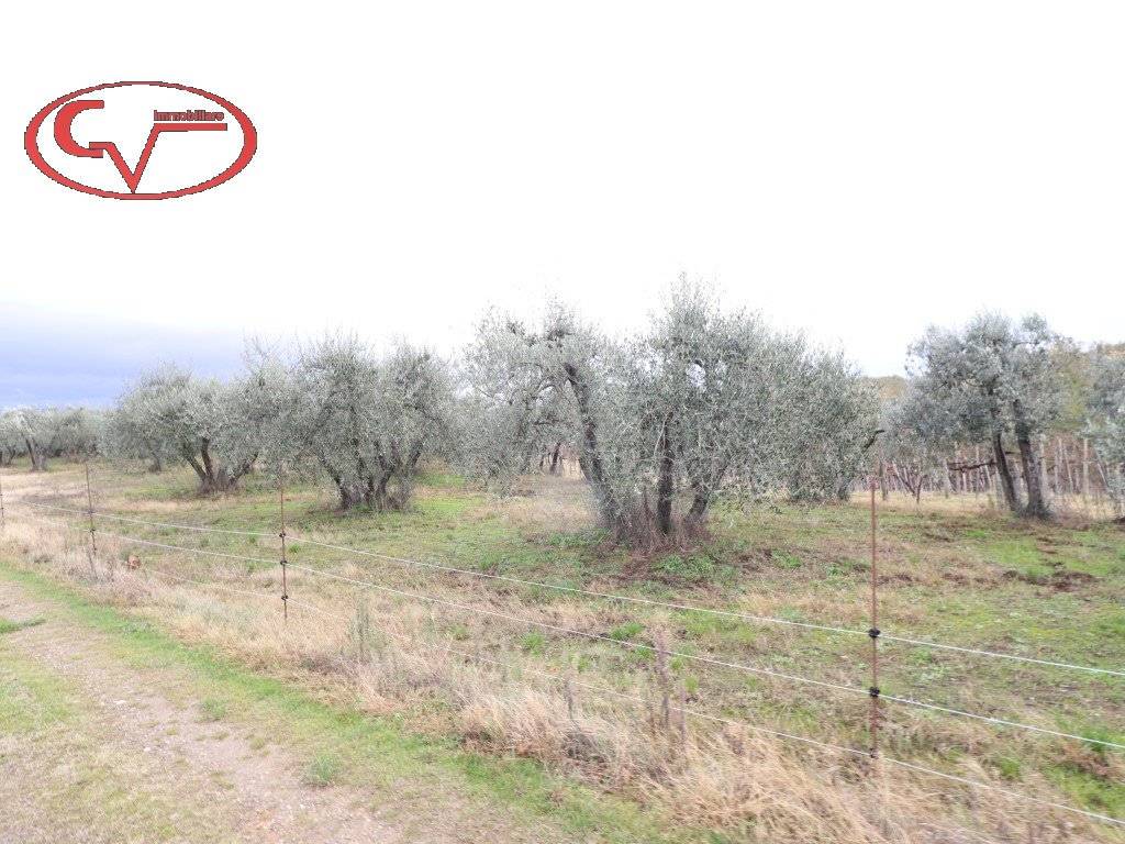 Immobile a Montevarchi in Via della Selva - Foto 4