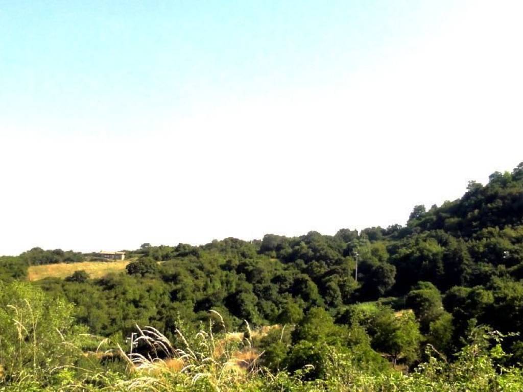 Rustico / casale a Castell'azzara - Foto 3