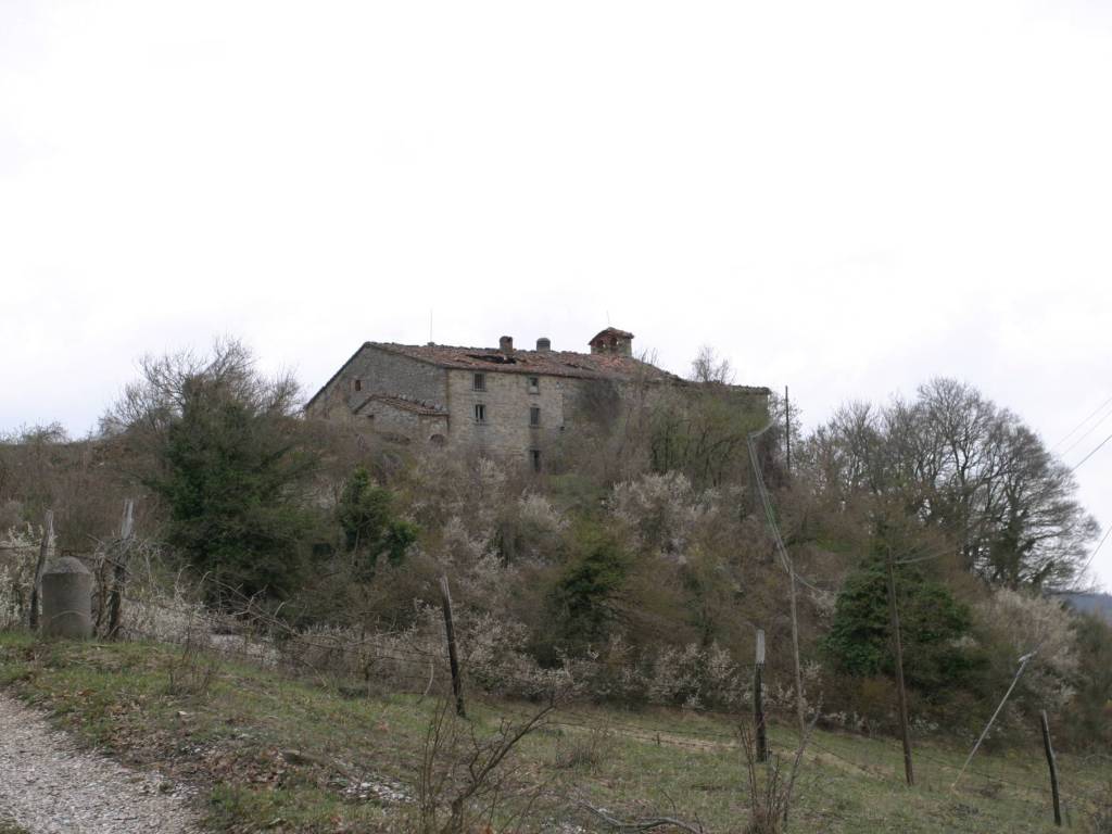 Rustico / casale a Pietralunga in Strada Provinciale di Pietralunga - Foto 3