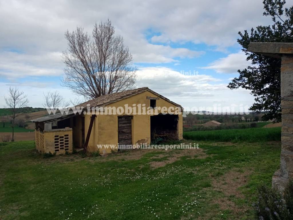 Rustico / casale a Recanati - Foto 3
