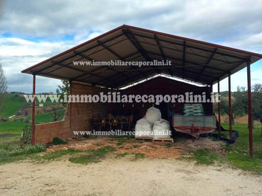 Rustico / casale a Recanati - Foto 4