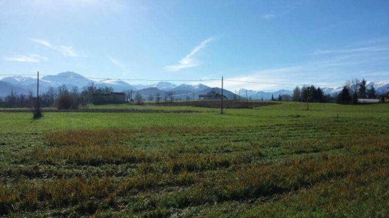 Terreno a Villanova mondovì - Foto 3