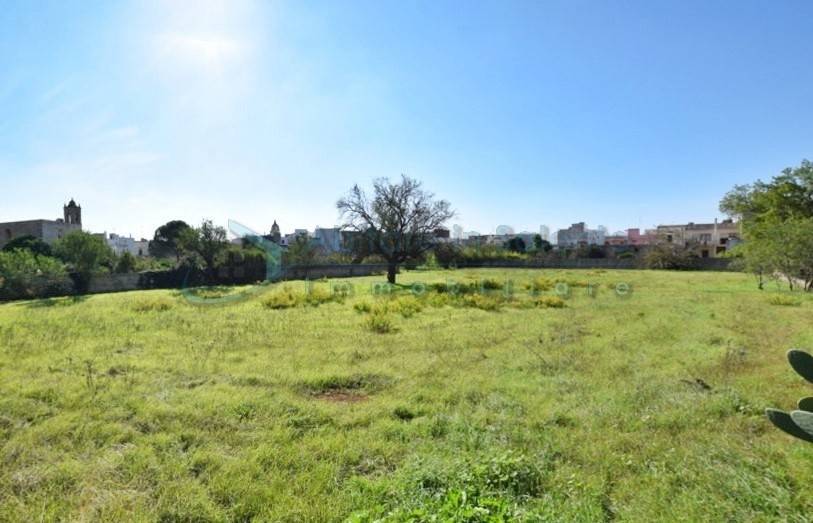 Terreno a Presicce-acquarica - Foto 2