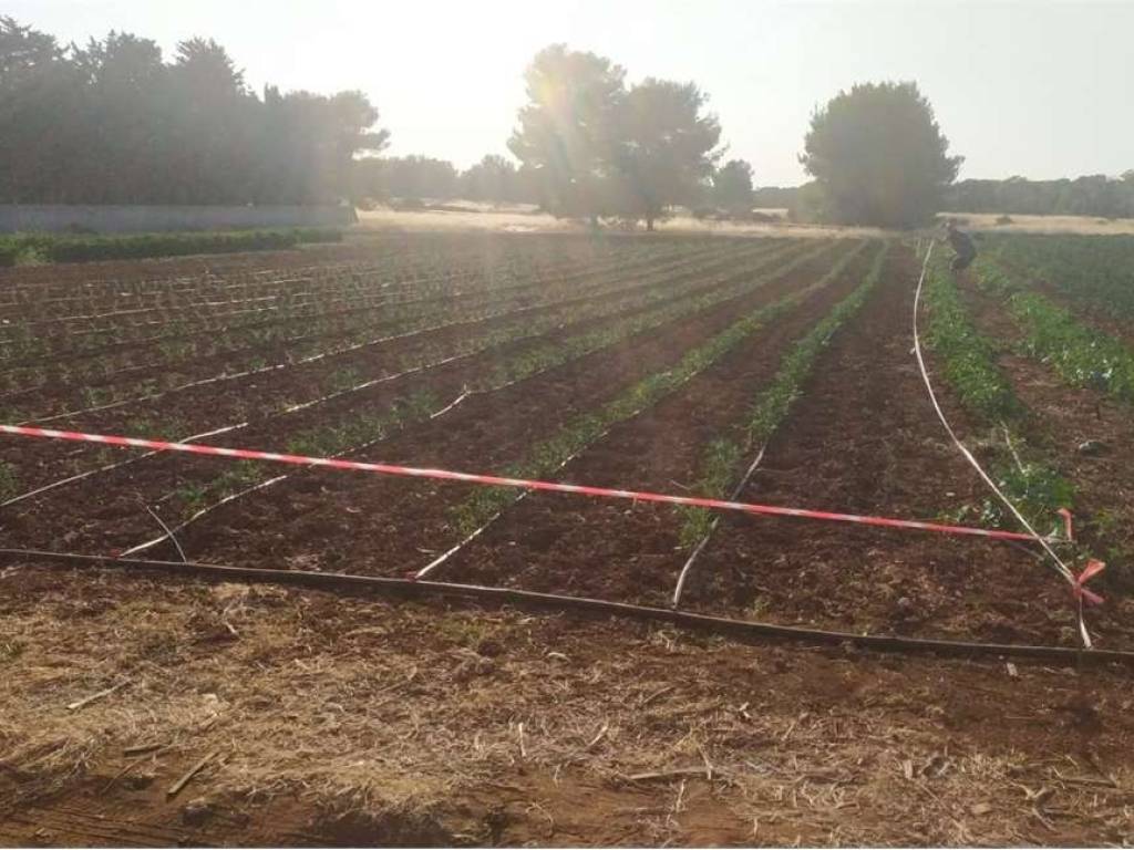 Terreno a Carovigno - Foto 3