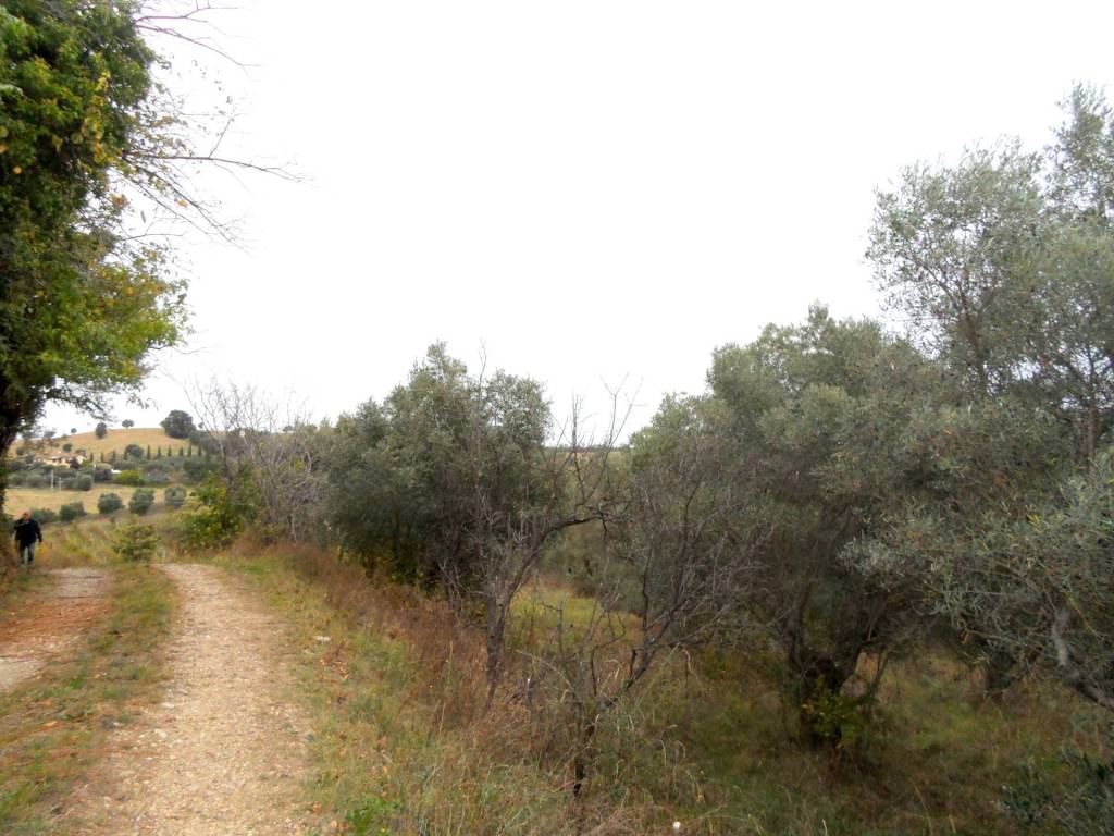 Terreno a Monteprandone in Via Colle Appeso - Foto 2