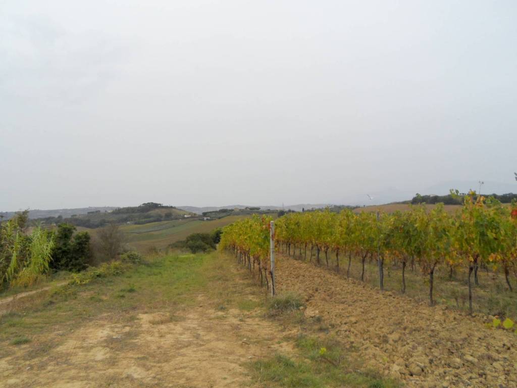 Terreno a Monteprandone in Via Colle Appeso - Foto 3
