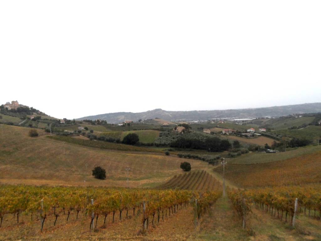 Terreno a Monteprandone in Contrada Colle Appeso - Foto 2