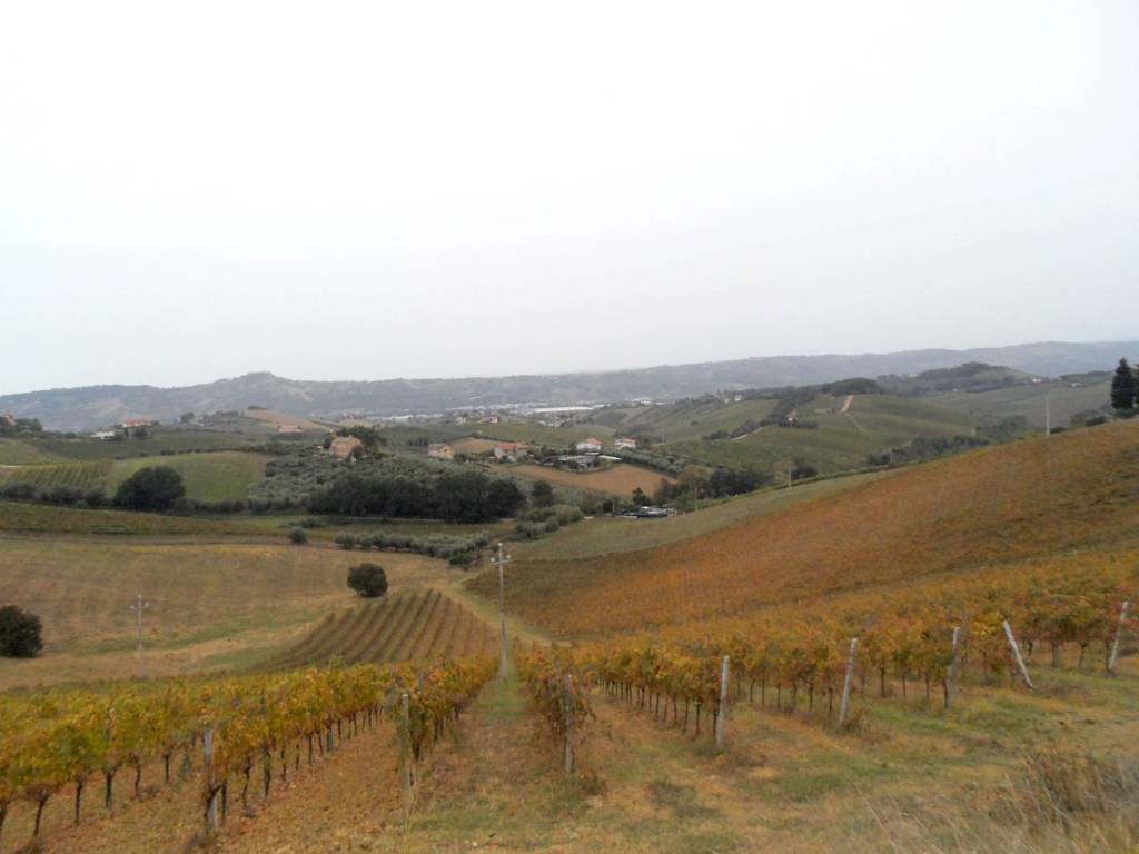 Terreno a Monteprandone in Contrada Colle Appeso - Foto 3