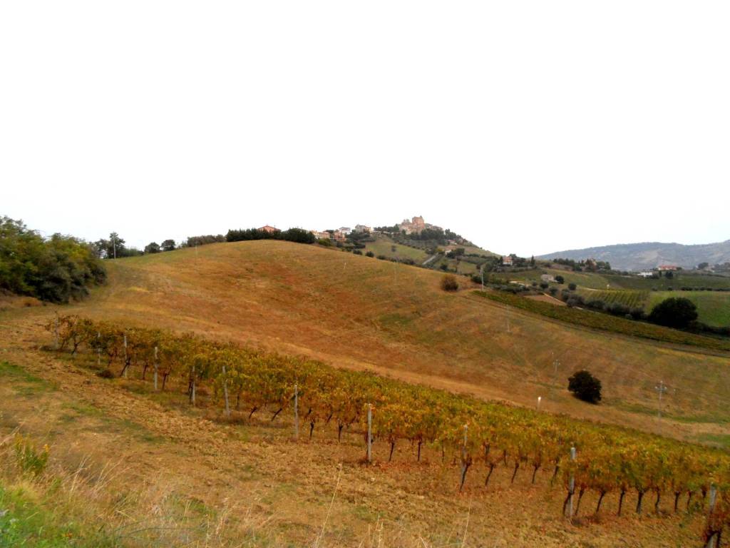 Terreno a Monteprandone in Contrada Colle Appeso - Foto 4