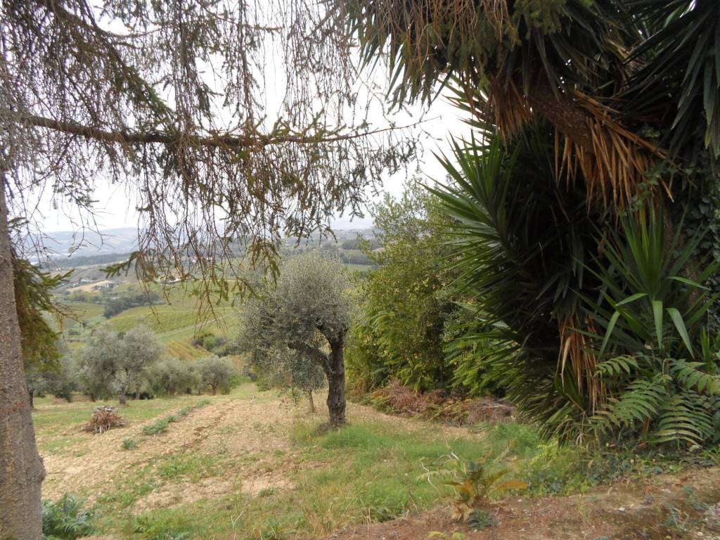 Terreno a Monteprandone in Via Borgo da sole - Foto 3