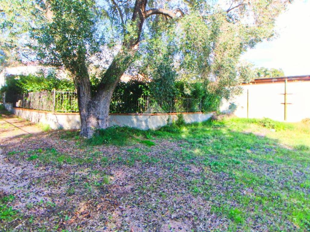 Appartamento a Centola in Via palorcio - Foto 5