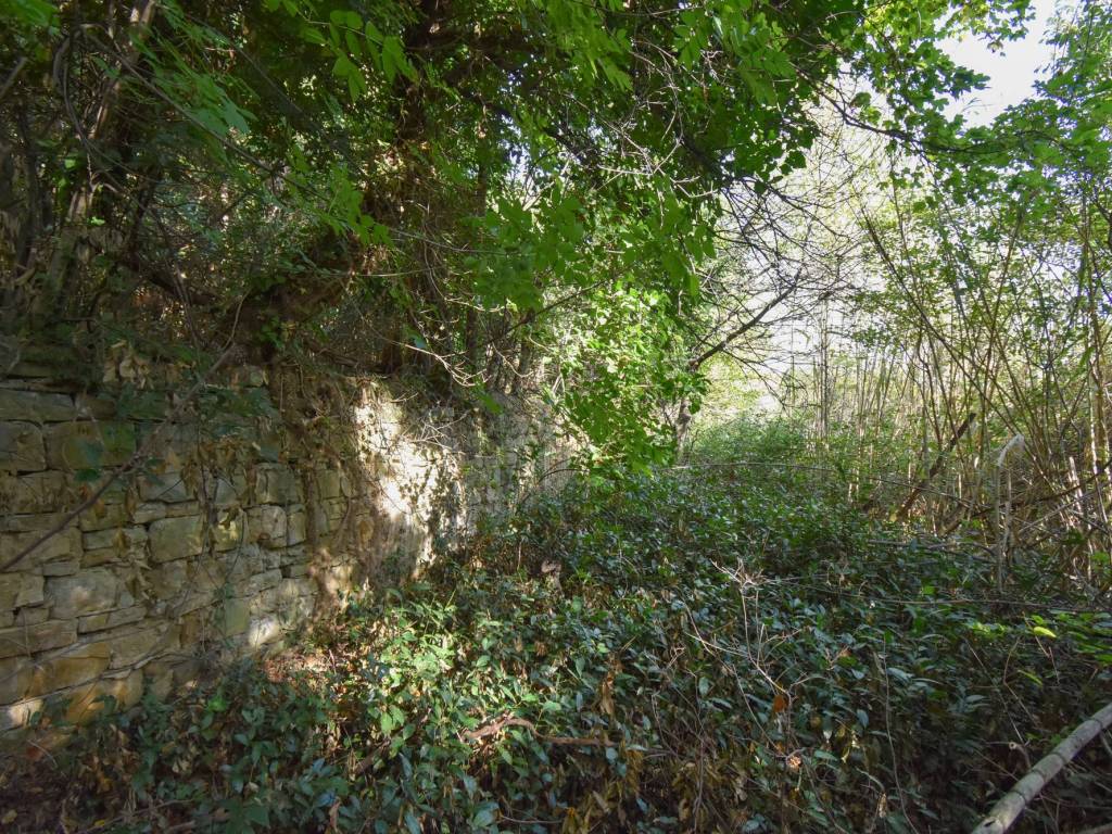 Terreno a Muggia - Foto 2